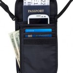 Travel Navigator Neck Wallet